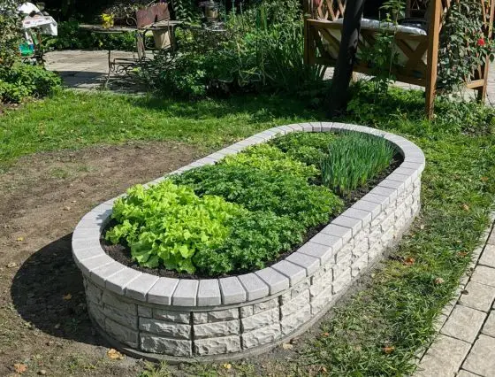 Клумба 5